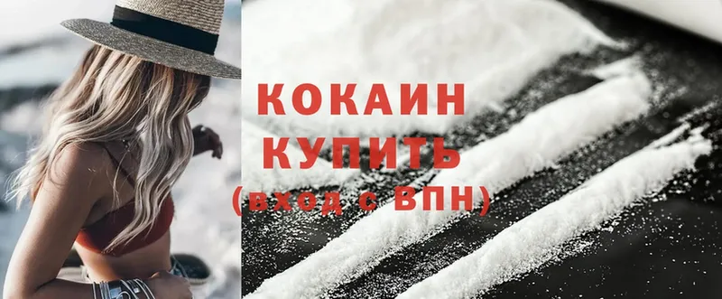 купить наркотик  MEGA рабочий сайт  Cocaine VHQ  Каменка 